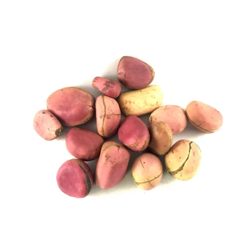 Fresh Kola Nut – (Per Pack)