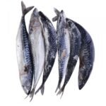 Fresh Titus Fish – Per Piece