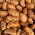 resh Bitter Kola – (Per Pack)